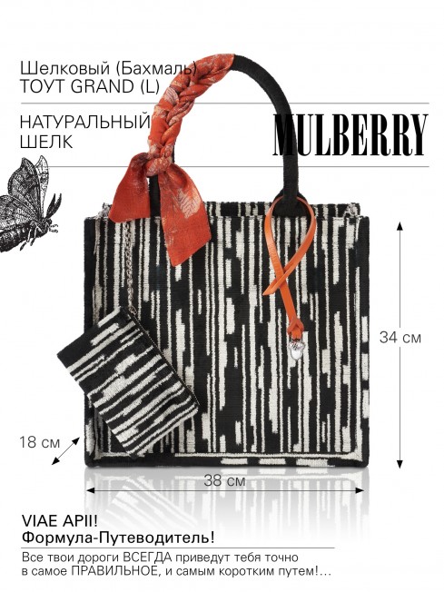 Сумка из Шелка Женский VIAE APII!_Tote/L